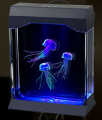 Aquapict Jellyfish